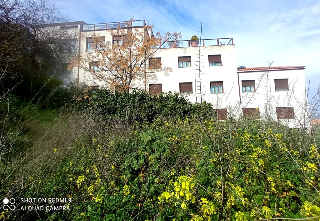 familiares residencias de ancianos, residencia balcon de magacela, residencias para ancianos en badajoz